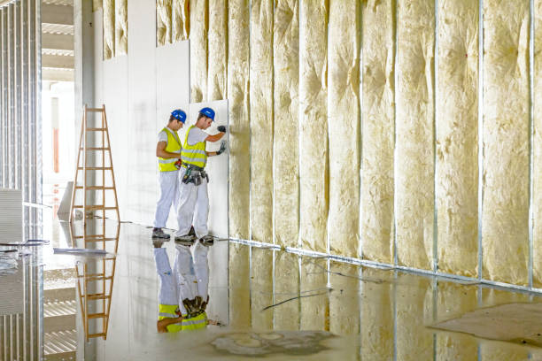 Best Energy-efficient Insulation  in Hurt, VA